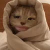 wuin_be