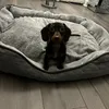 poppy_weir
