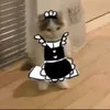 gracemsn