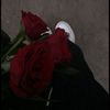 gazel_yn14