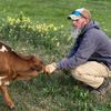 montana_moo_dude