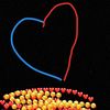 theyluvccfr