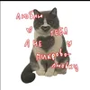 patcc.k