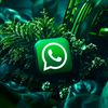 user6998254323018