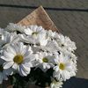 dxli_5