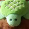 sayrodo