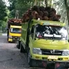 dimasafandi555