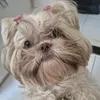 lilikinha80