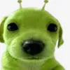 sucodebatata12
