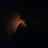 hapenokia_