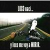 felipedt125