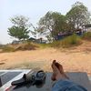 doyokkk_pea