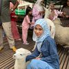 nurain6268