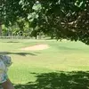 bp__tc_