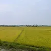 vjnh918