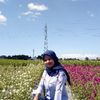 fitriani4678