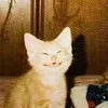 tooffie_69