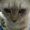 trung.pd_bun