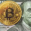 criptobedarija