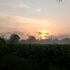 anggraini15_11
