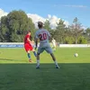 tobias_surman