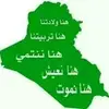 dy7y5cw861wm