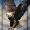 mustafa.80803