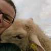 sheepfreek