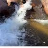 water5888880