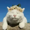 khiemmmh