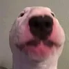 xcn4an
