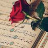 ebrahimmahmoud488