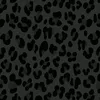 kcha_wrdila38