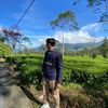 tolll_31
