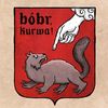 bobr___kurwa