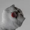 piotrekk25