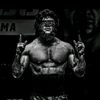 ahmad_chiha