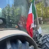 dimitarmatteucci0789