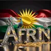 366afrin.0