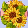 girasole359