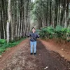 aditehade