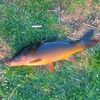 508bassfishingfamily