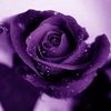 secretmagick