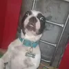 ola_burito_burito