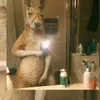 lrdpivvte