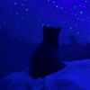 _bluethought