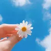 suhi244