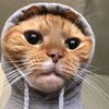 sukaaamatchaaa_8