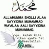 syaifulmuhammad673