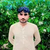 shahbazbhatti8166
